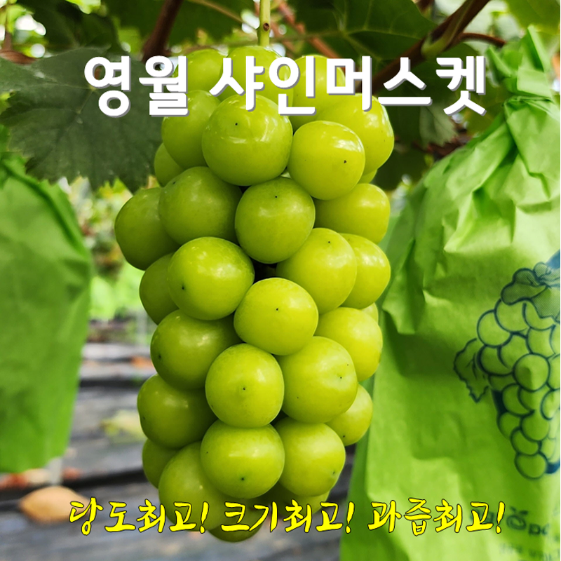 감자,옥수수,곤드레,어수리,눈개승마,산마늘,사과,포도,샤인머스켓,절임배추,황기,서리태,더덕,고추,건곤드레,건어수리,건나물,부사