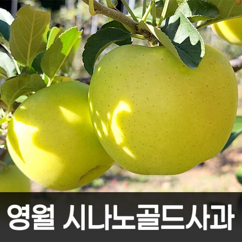 감자,옥수수,곤드레,어수리,눈개승마,산마늘,사과,포도,샤인머스켓,절임배추,황기,서리태,더덕,고추,건곤드레,건어수리,건나물,부사
