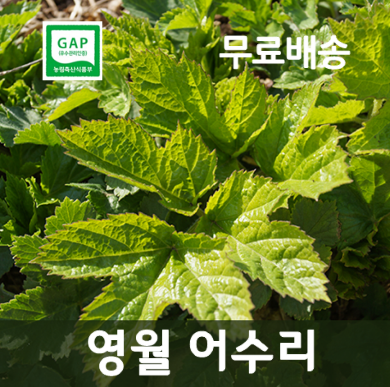 감자,옥수수,곤드레,어수리,눈개승마,산마늘,사과,포도,샤인머스켓,절임배추,황기,서리태,더덕,고추,건곤드레,건어수리,건나물,부사