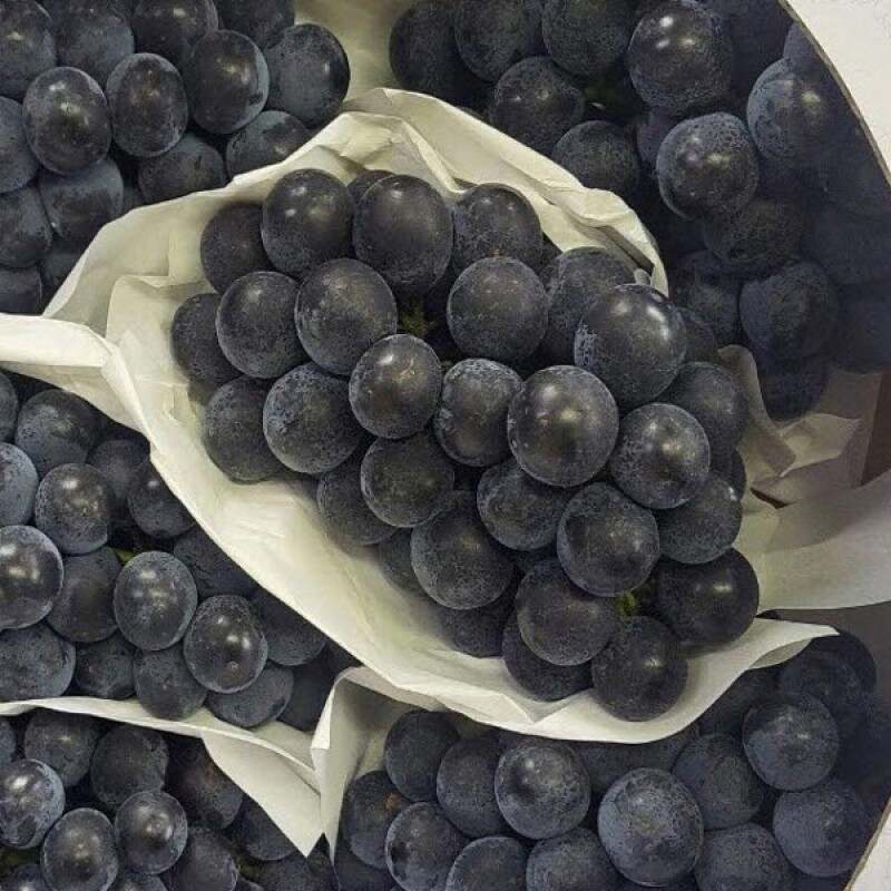 감자,옥수수,곤드레,어수리,눈개승마,산마늘,사과,포도,샤인머스켓,절임배추,황기,서리태,더덕,고추,건곤드레,건어수리,건나물,부사