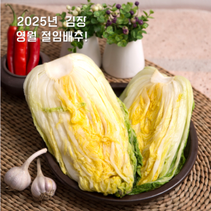 [리뷰이벤트] 영월 고랭지절임배추20kg(8~11포기)